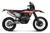 Мотоцикл PROGASI RACE 300 AIR (CB300RL) 21/18