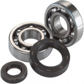 Комплект подшипников и сальников коленвала ALL BALLS для HONDA CR125R 80-85