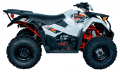Квадрицикл KAYO AU300 EFI (белый пластик 2024 г.) (ПТС)