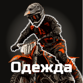 Одежда
