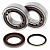 Комплект подшипников и сальников коленвала ALL BALLS для KTM SXF250 05-12, XC-F250 07-12
